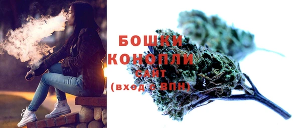 стафф Ладушкин