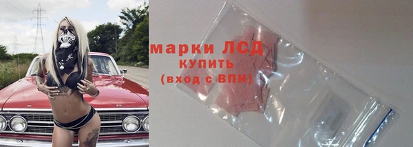 стафф Ладушкин