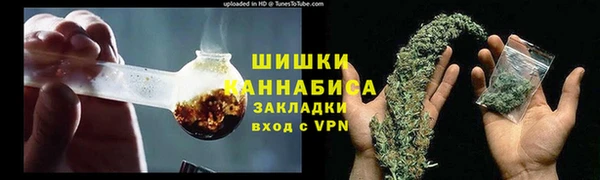 стафф Ладушкин