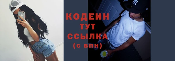 ECSTASY Лагань