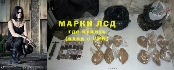 стафф Ладушкин