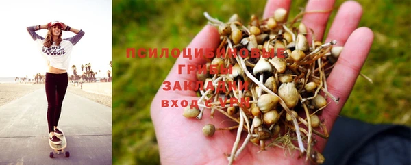 ECSTASY Лагань